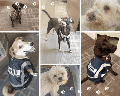 Canva Design DAEfCuATJ5s